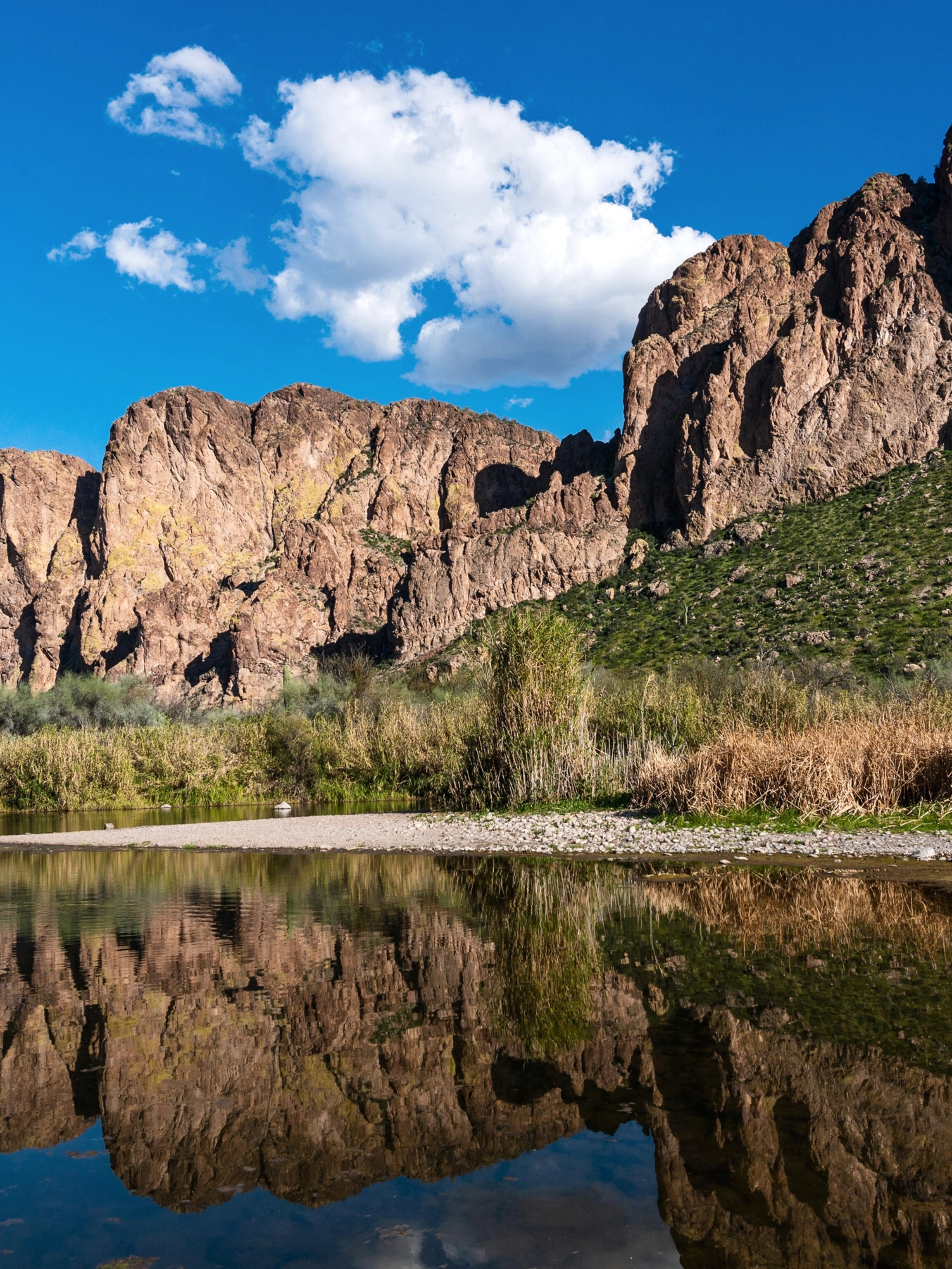 Are Dogs Allowed At Salt River Tubing